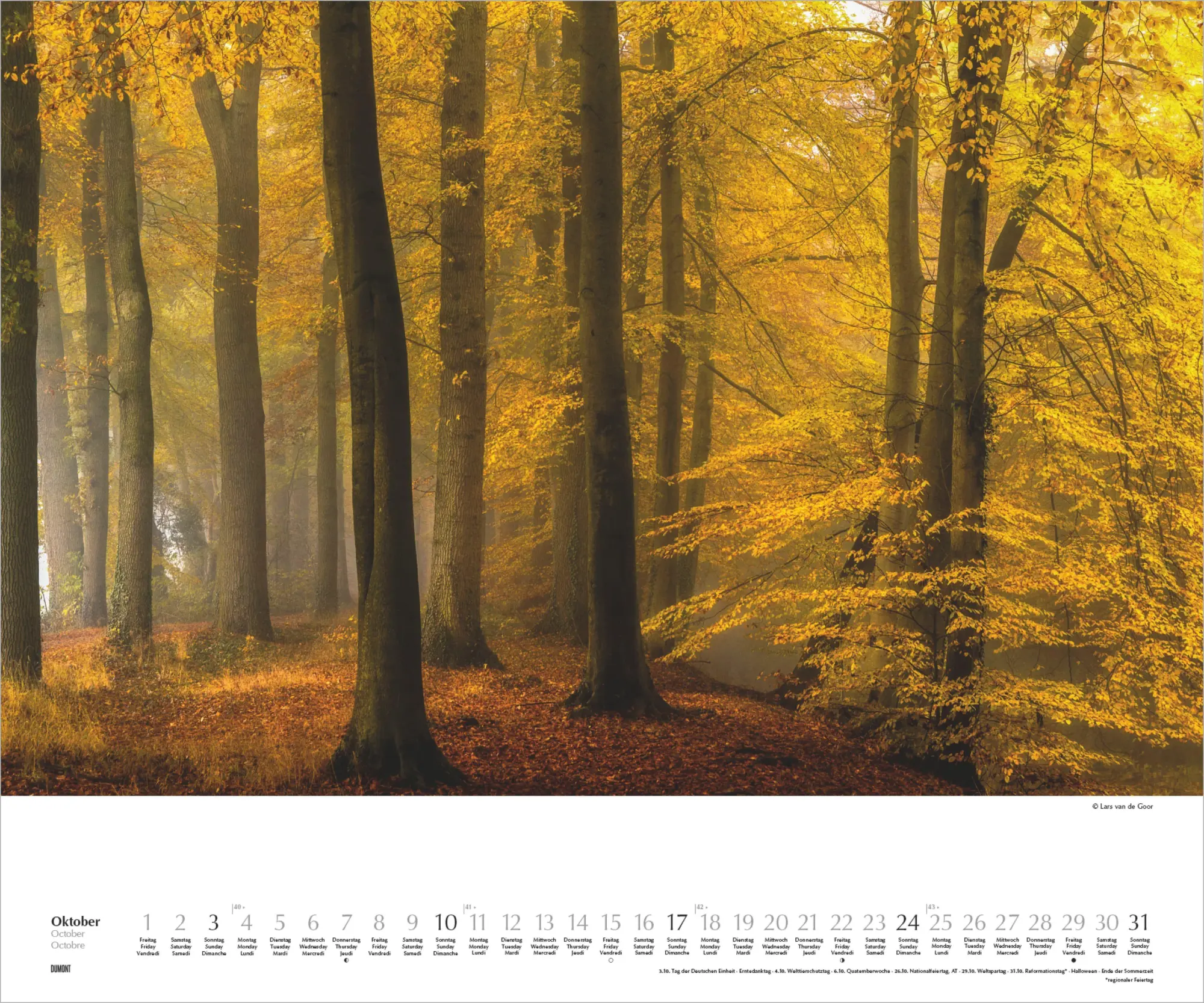 Bild: 4069095011861 | Waldspaziergang 2027 | Lars van de Goor | Kalender | DuMont (Kalender)