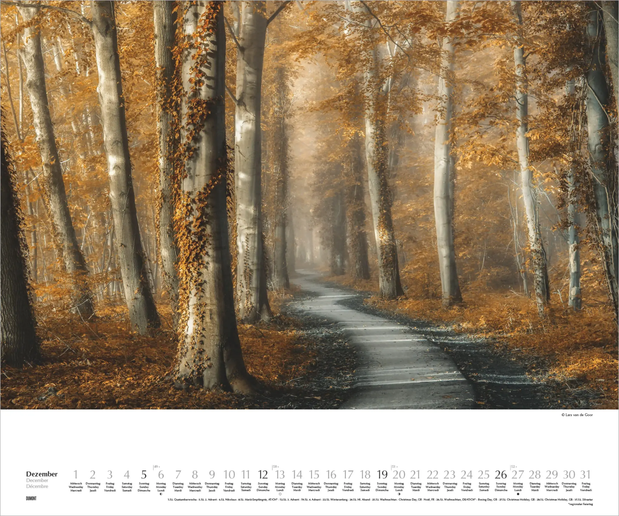 Bild: 4069095011861 | Waldspaziergang 2027 | Lars van de Goor | Kalender | DuMont (Kalender)
