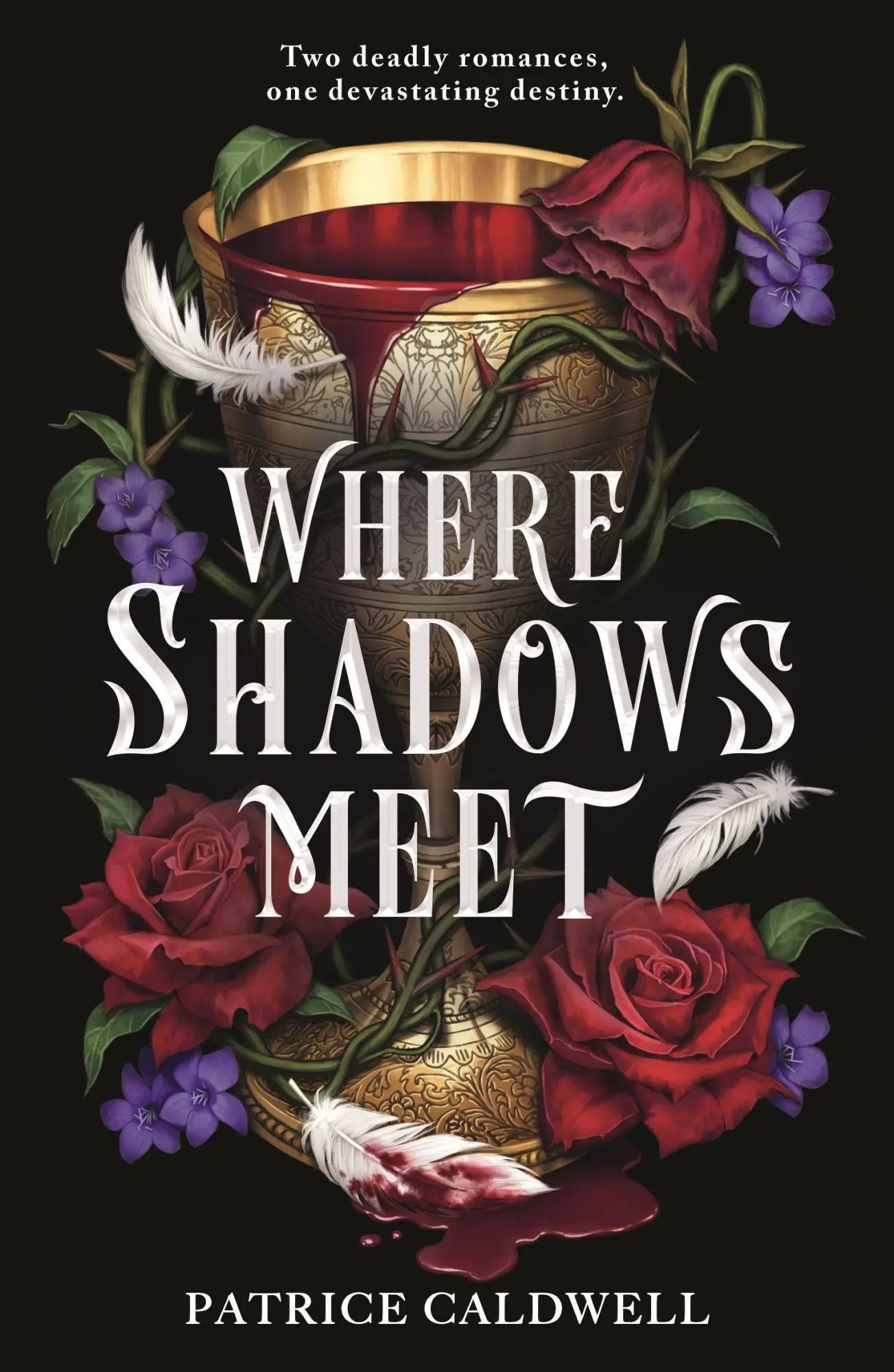 Cover: 9781471411861 | Where Shadows Meet | Patrice Caldwell | Taschenbuch | Paperback | 2025