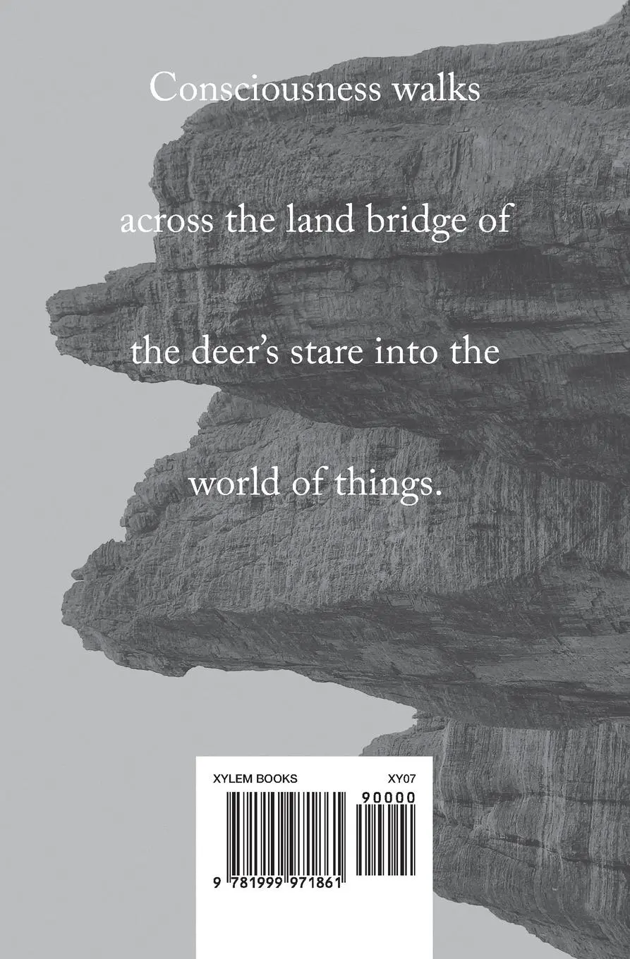 Rückseite: 9781999971861 | Living In The World As If It Were Home | Tim Lilburn | Taschenbuch