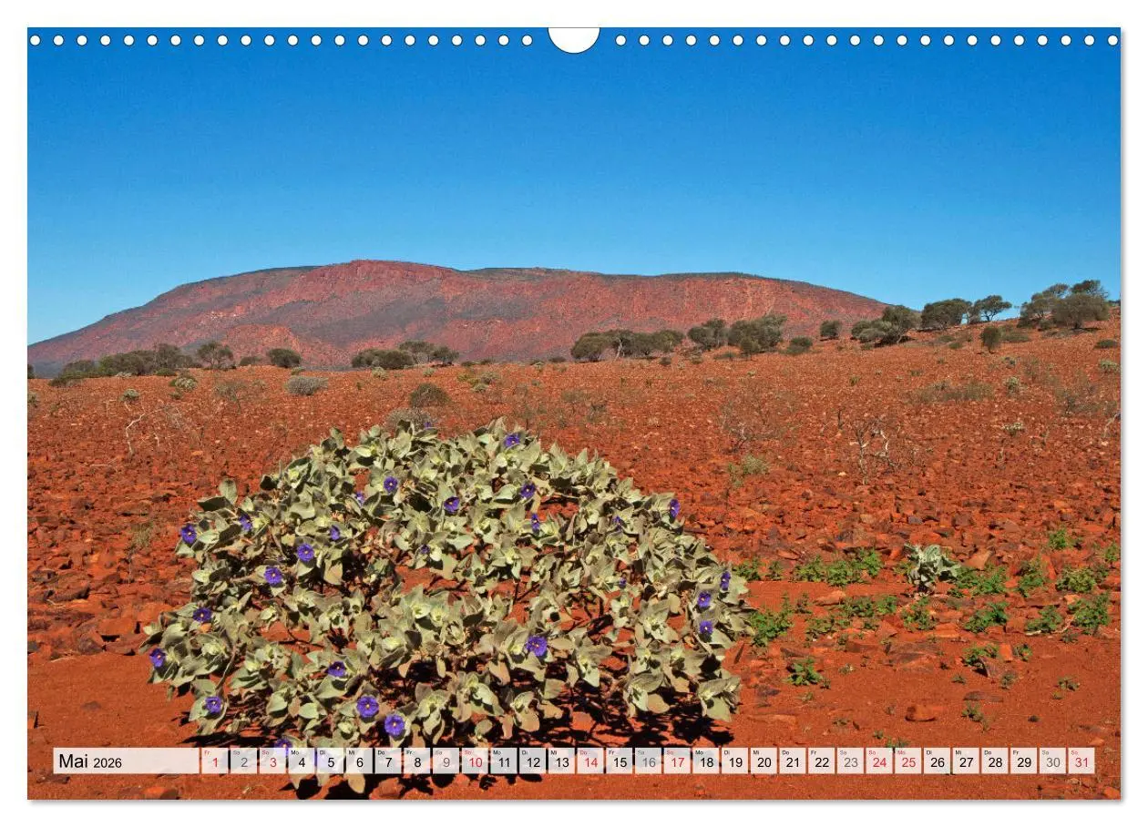 Bild: 9783516161861 | Australien - Faszination Outback (Wandkalender 2026 DIN A3 quer),...