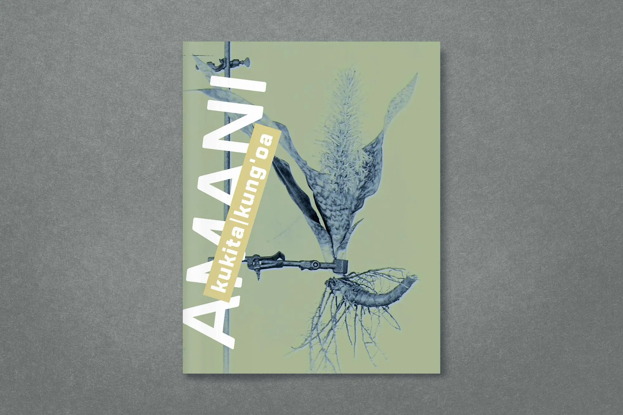 Bild: 9783987411861 | Amani | Rehema Chachage (u. a.) | Taschenbuch | 240 S. | Deutsch