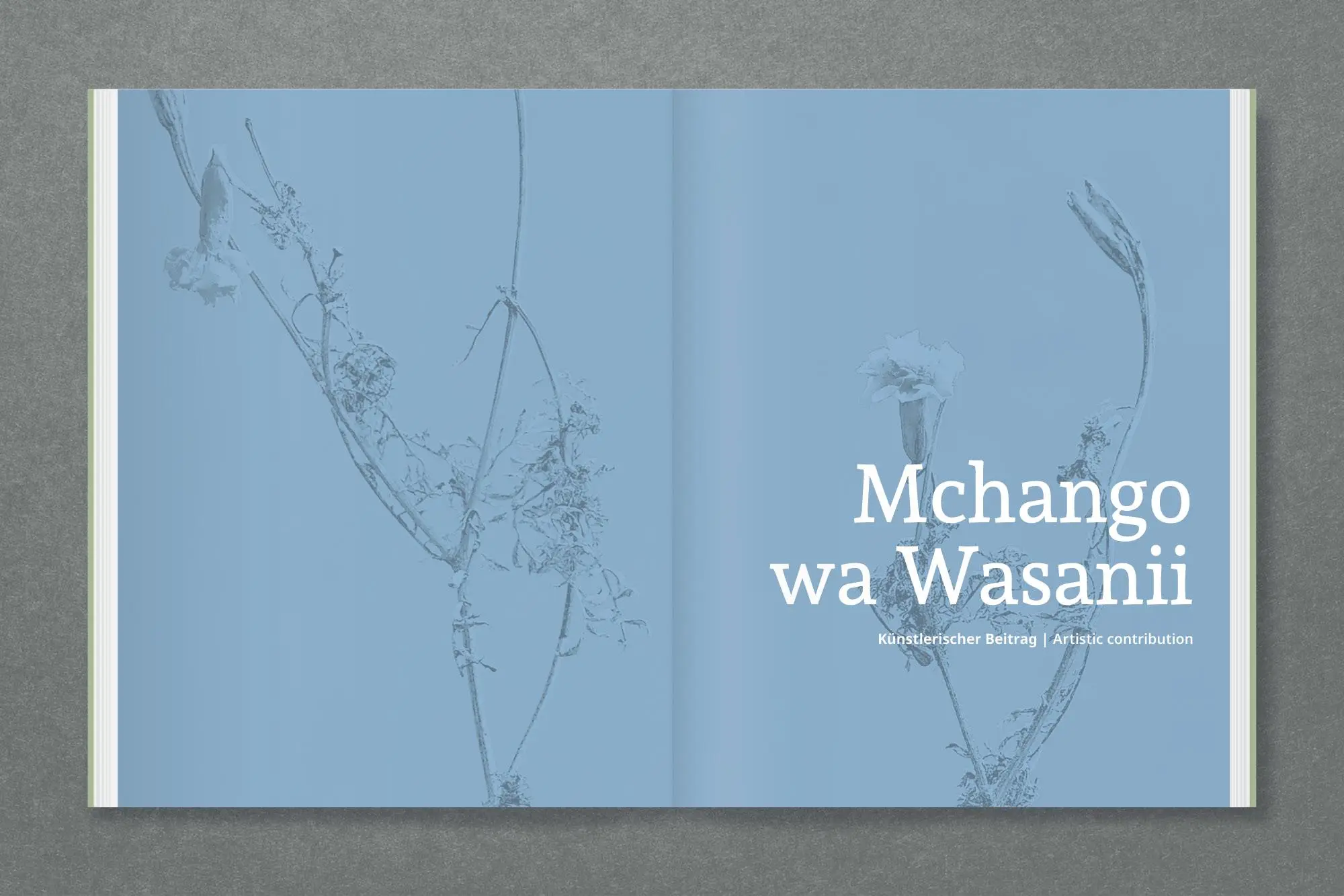 Bild: 9783987411861 | Amani | Rehema Chachage (u. a.) | Taschenbuch | 240 S. | Deutsch