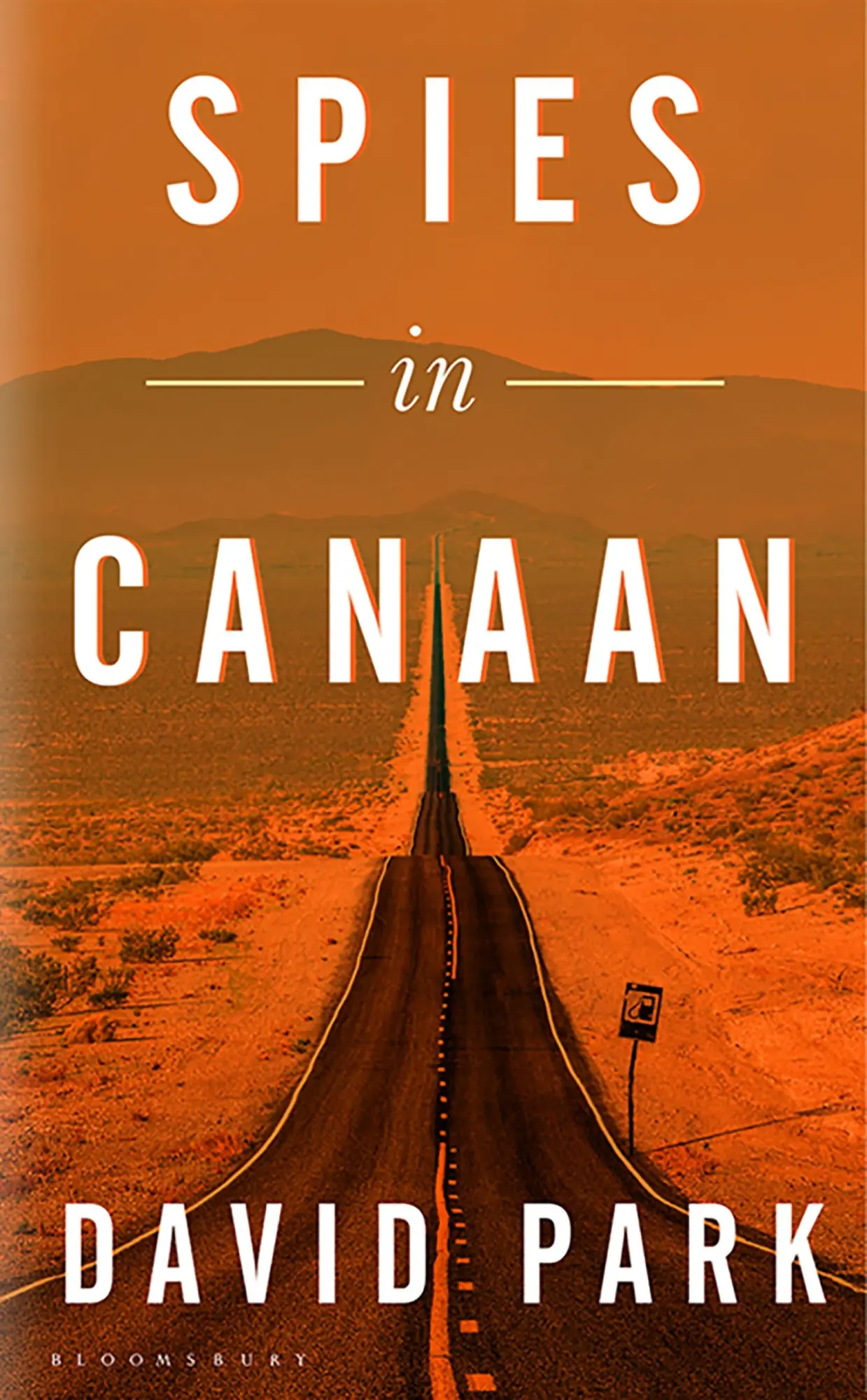 Cover: 9781526631961 | Spies in Canaan | Park David Park | Taschenbuch | 208 S. | Englisch