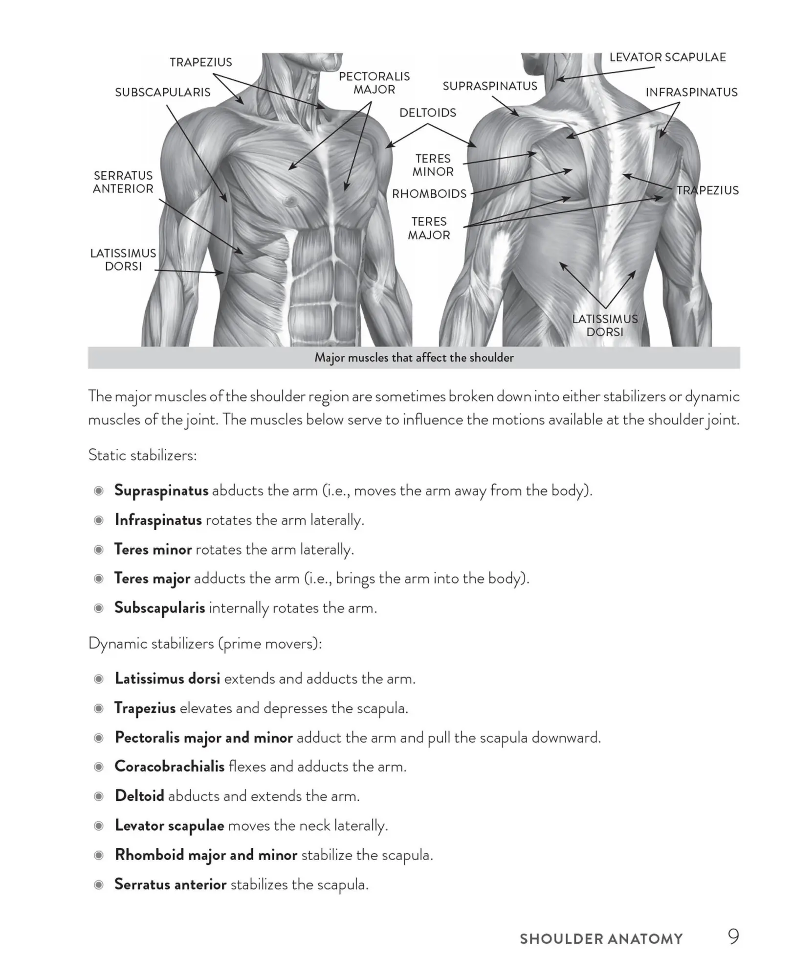 Bild: 9781646041961 | Healthy Shoulder Handbook: Second Edition | Karl Knopf | Taschenbuch