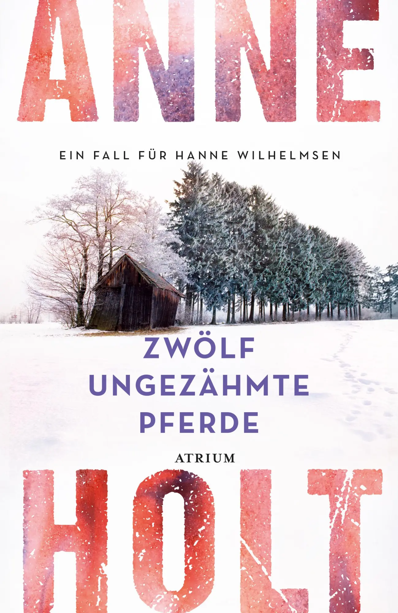 Cover: 9783855351961 | Zwölf ungezähmte Pferde | Ein Fall für Hanne Wilhelmsen | Anne Holt