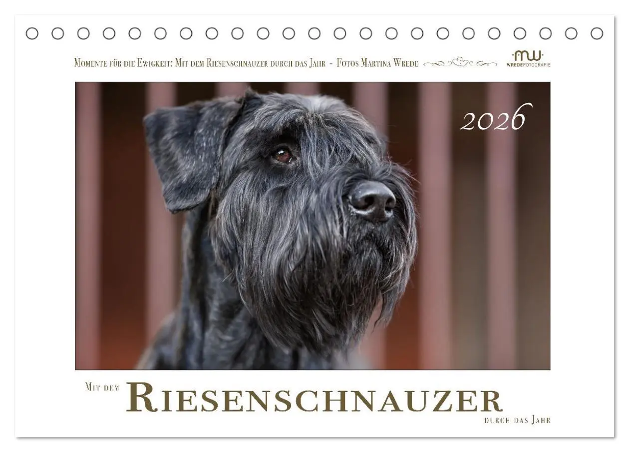Cover: 9783457402061 | Mit dem Riesenschnauzer durch das Jahr (Tischkalender 2026 DIN A5...