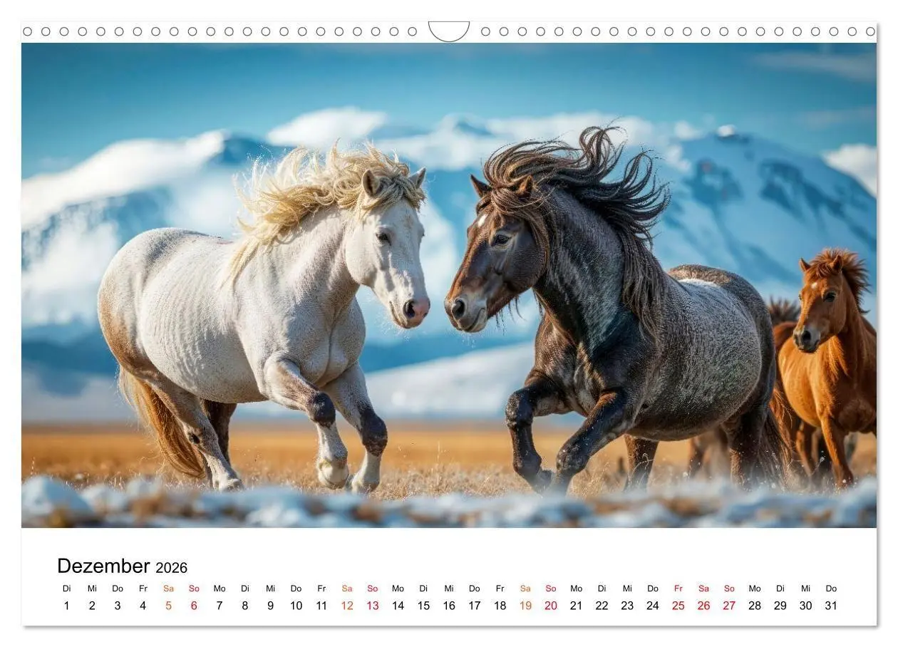 Bild: 9783516662061 | Islandpferde - Freiheit im Blick (Wandkalender 2026 DIN A3 quer),...