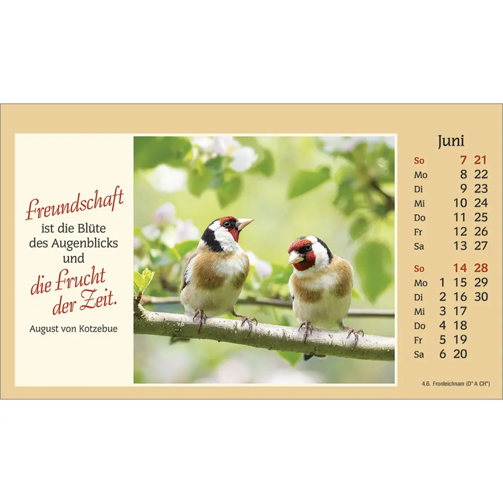 Bild: 9783754882061 | Der kleine Begleiter 2026 | Kalender | Spiralbindung | 14 S. | Deutsch