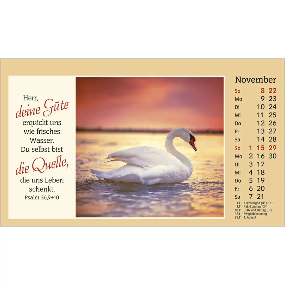 Bild: 9783754882061 | Der kleine Begleiter 2026 | Kalender | Spiralbindung | 14 S. | Deutsch