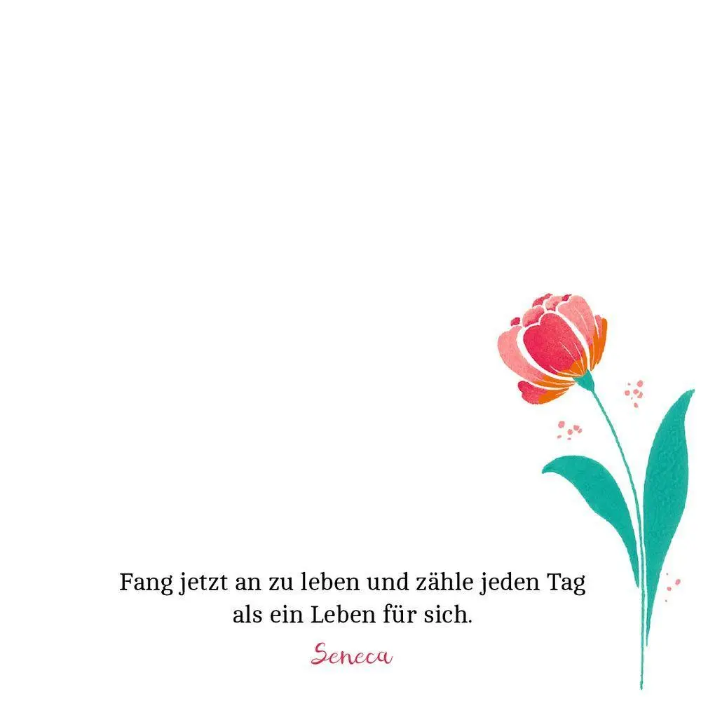 Bild: 4050003952161 | Zettelkästchen | Sonnenschein für dich | Anne Mußenbrock | Taschenbuch