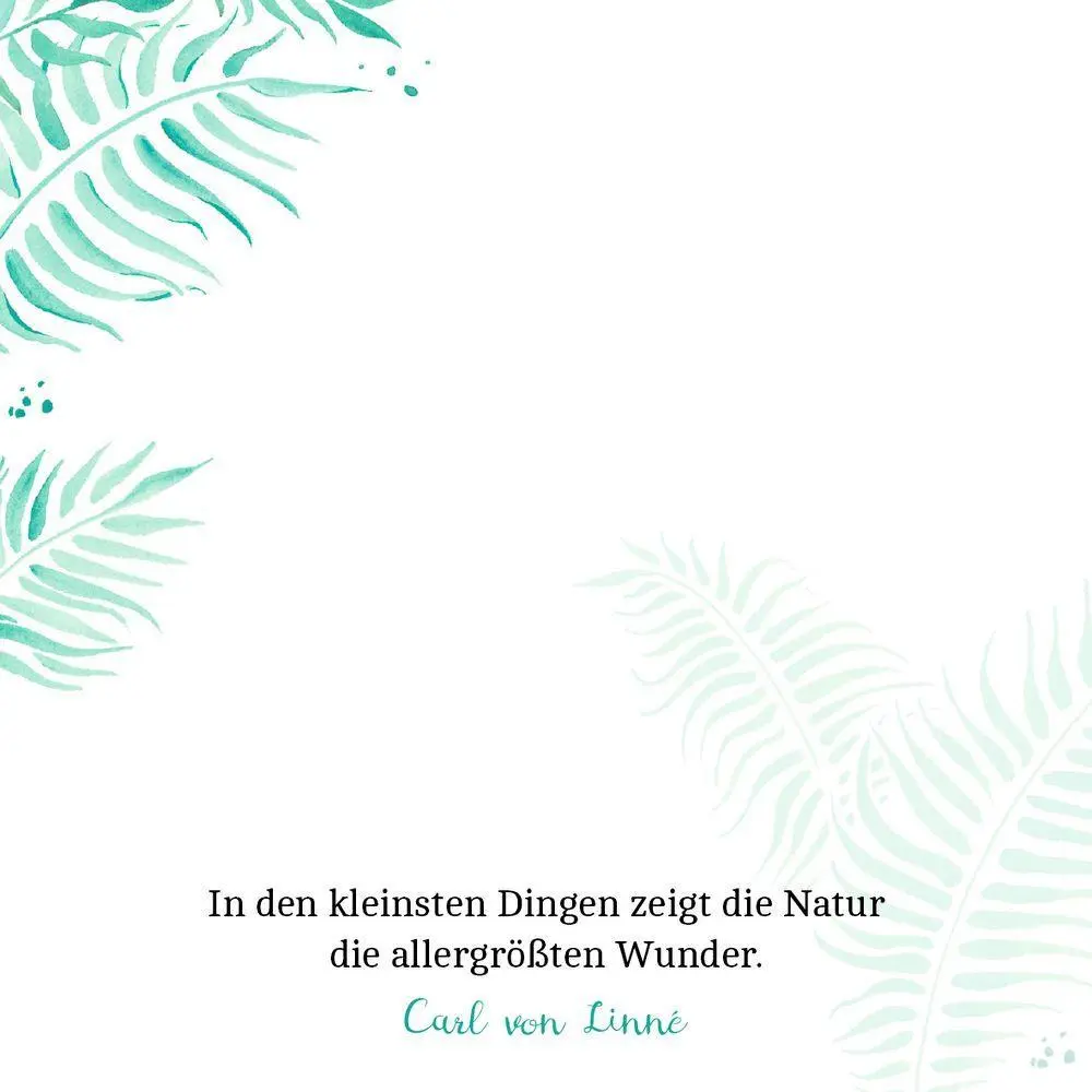Bild: 4050003952161 | Zettelkästchen | Sonnenschein für dich | Anne Mußenbrock | Taschenbuch