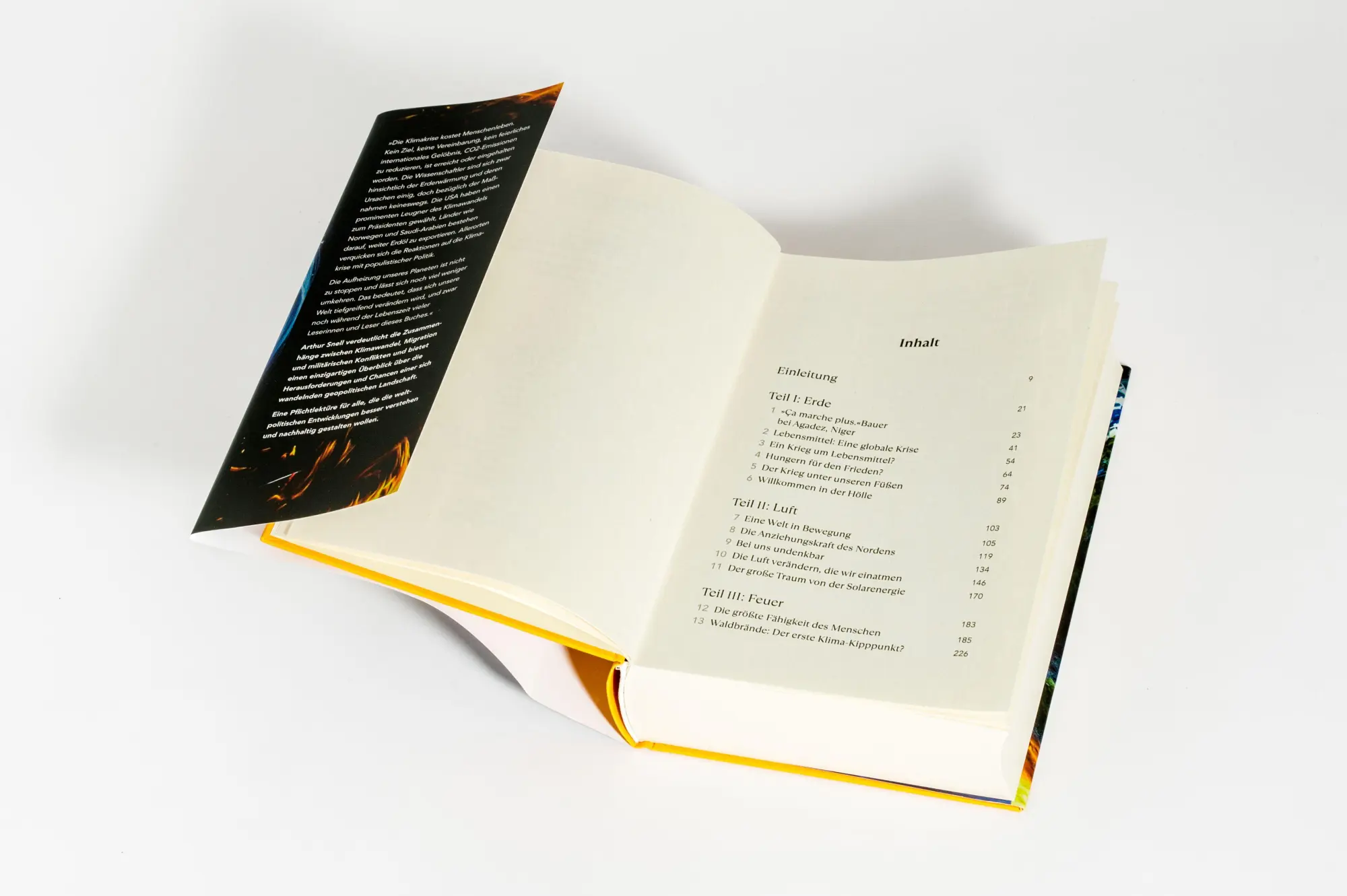 Bild: 9783442302161 | Erde, Luft, Feuer, Wasser | Arthur Snell | Buch | 384 S. | Deutsch