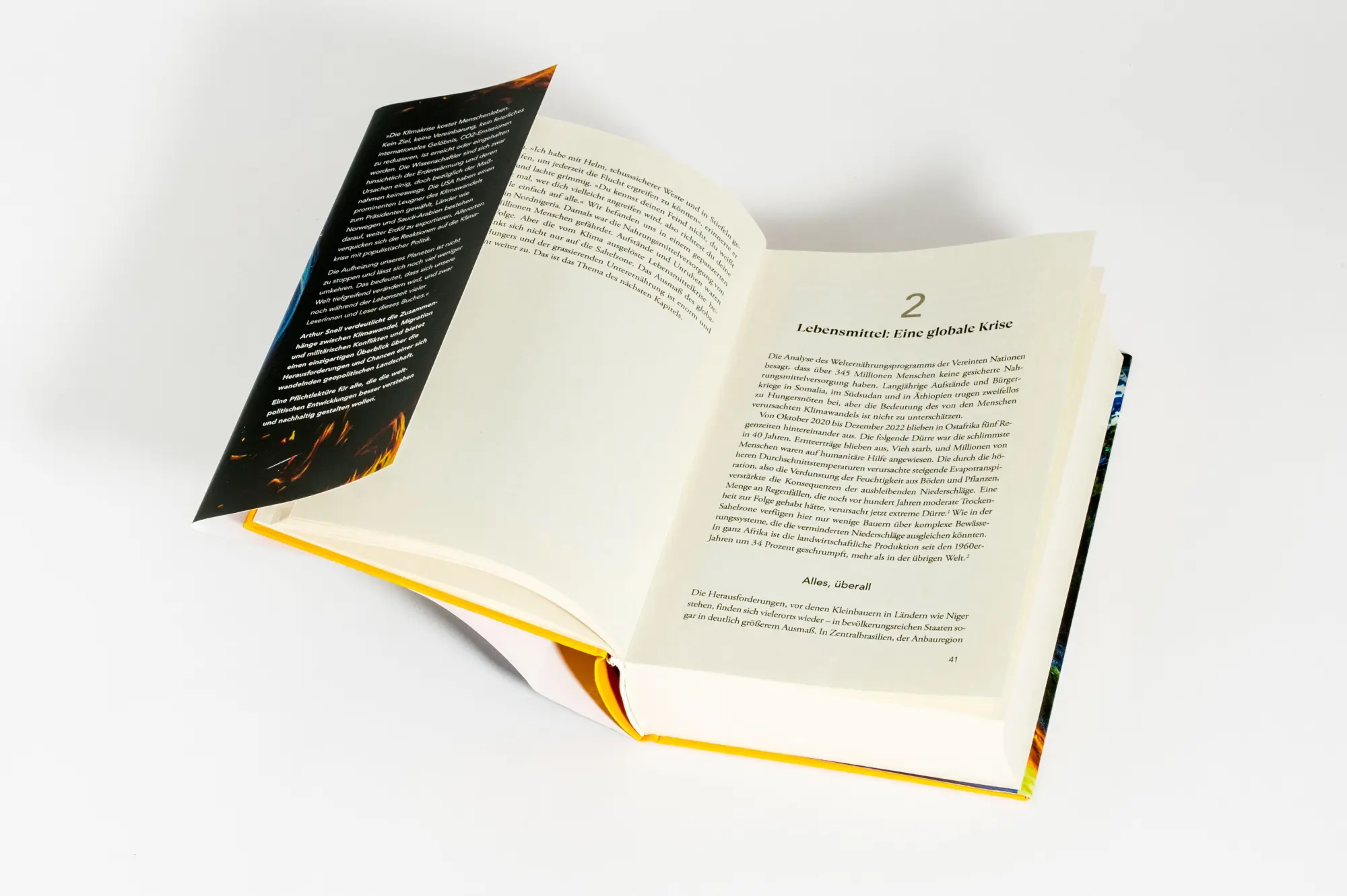 Bild: 9783442302161 | Erde, Luft, Feuer, Wasser | Arthur Snell | Buch | 384 S. | Deutsch