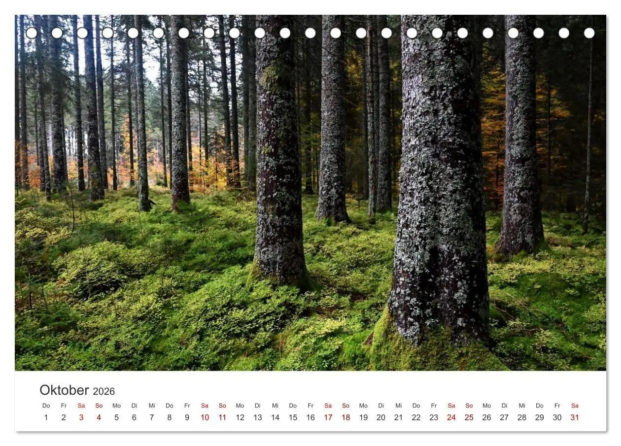 Bild: 9783516722161 | Deutschlands Landschaften 2026 - Von der Küste bis zu den Alpen...