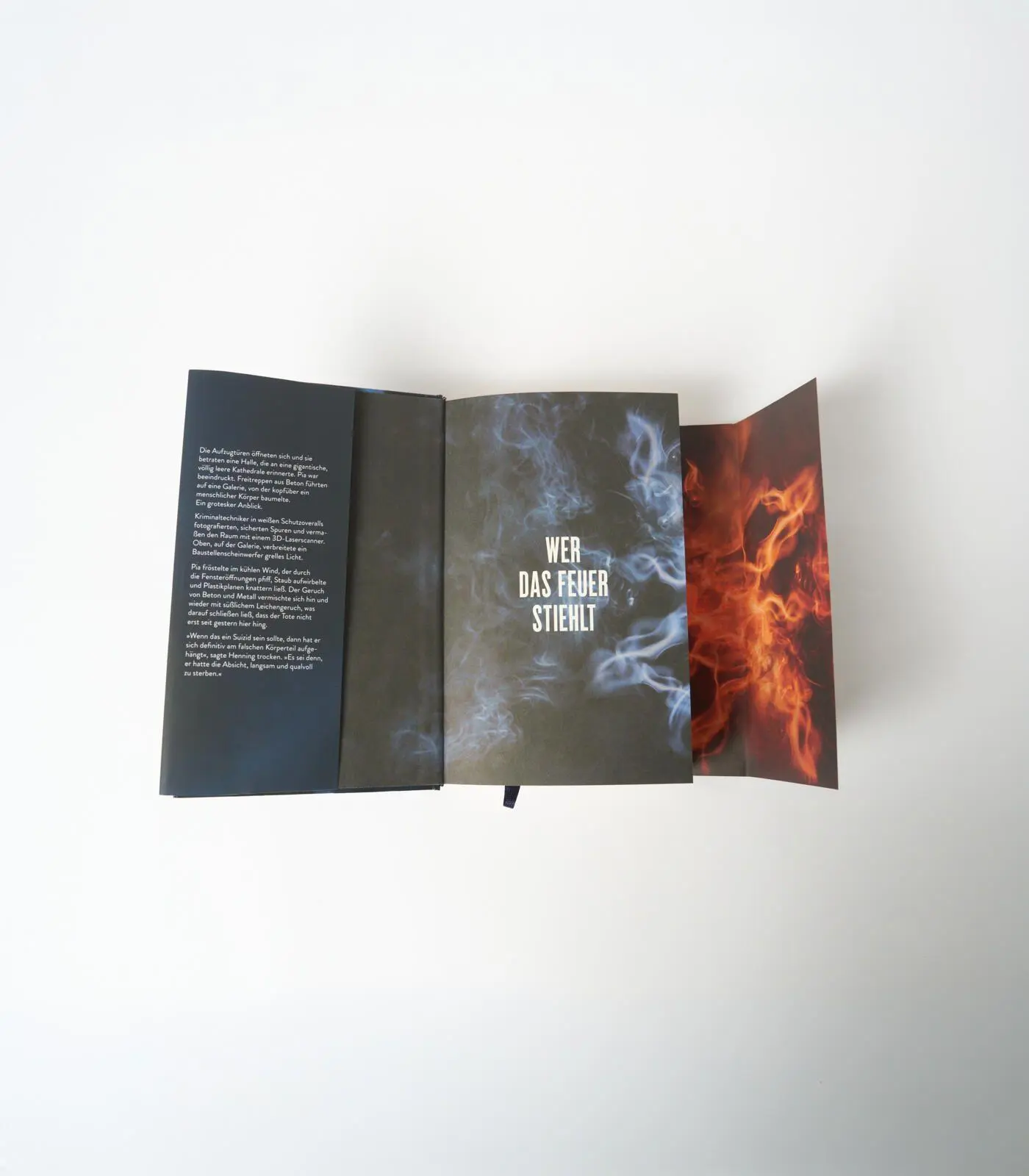 Bild: 9783550202261 | Alles wird Asche | Kriminalroman | Nele Neuhaus | Buch | 560 S. | 2026
