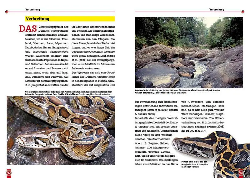 Bild: 9783866592261 | Der dunkle Tigerpython | Python bivittatus bivittatus | Zeddelmann