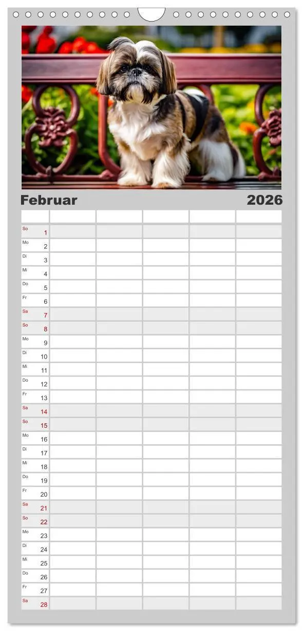 Bild: 9783516492361 | Familienplaner 2026 - Shih Tzu - der wuschelige Hund aus Tibet mit...