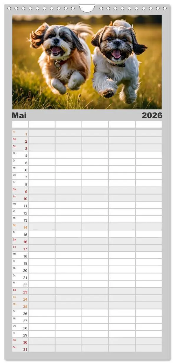 Bild: 9783516492361 | Familienplaner 2026 - Shih Tzu - der wuschelige Hund aus Tibet mit...