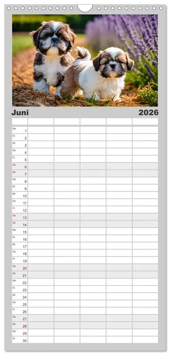 Bild: 9783516492361 | Familienplaner 2026 - Shih Tzu - der wuschelige Hund aus Tibet mit...