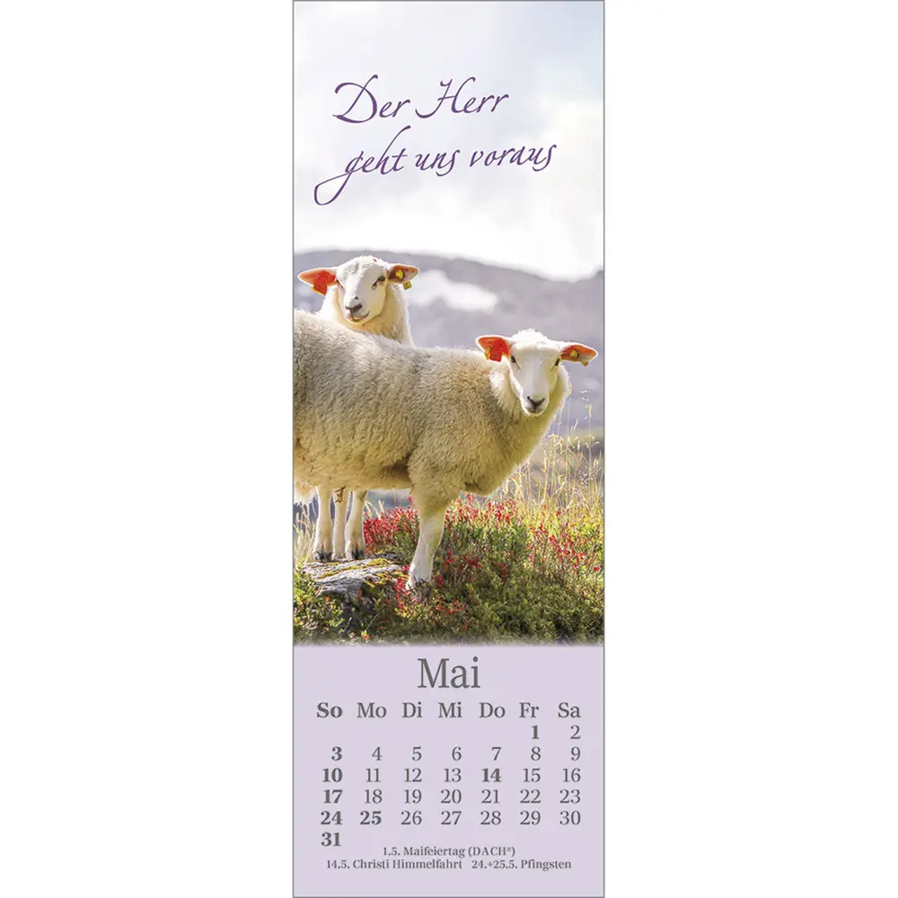 Bild: 9783754852361 | Sei behütet jeden Tag 2026 | Impulse und Gedanken zu Psalm 23 | 2026