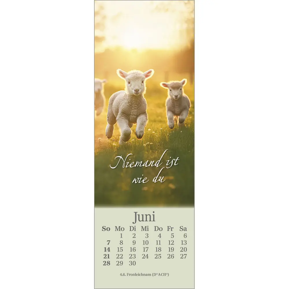 Bild: 9783754852361 | Sei behütet jeden Tag 2026 | Impulse und Gedanken zu Psalm 23 | 2026