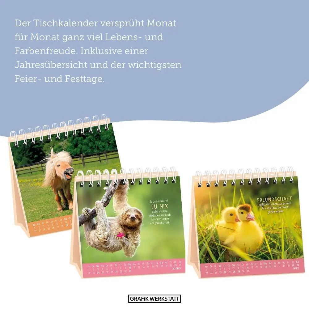 Bild: 9783986362461 | Tischkalender 2027 Happymacher | Tischkalender | Original | Kalender