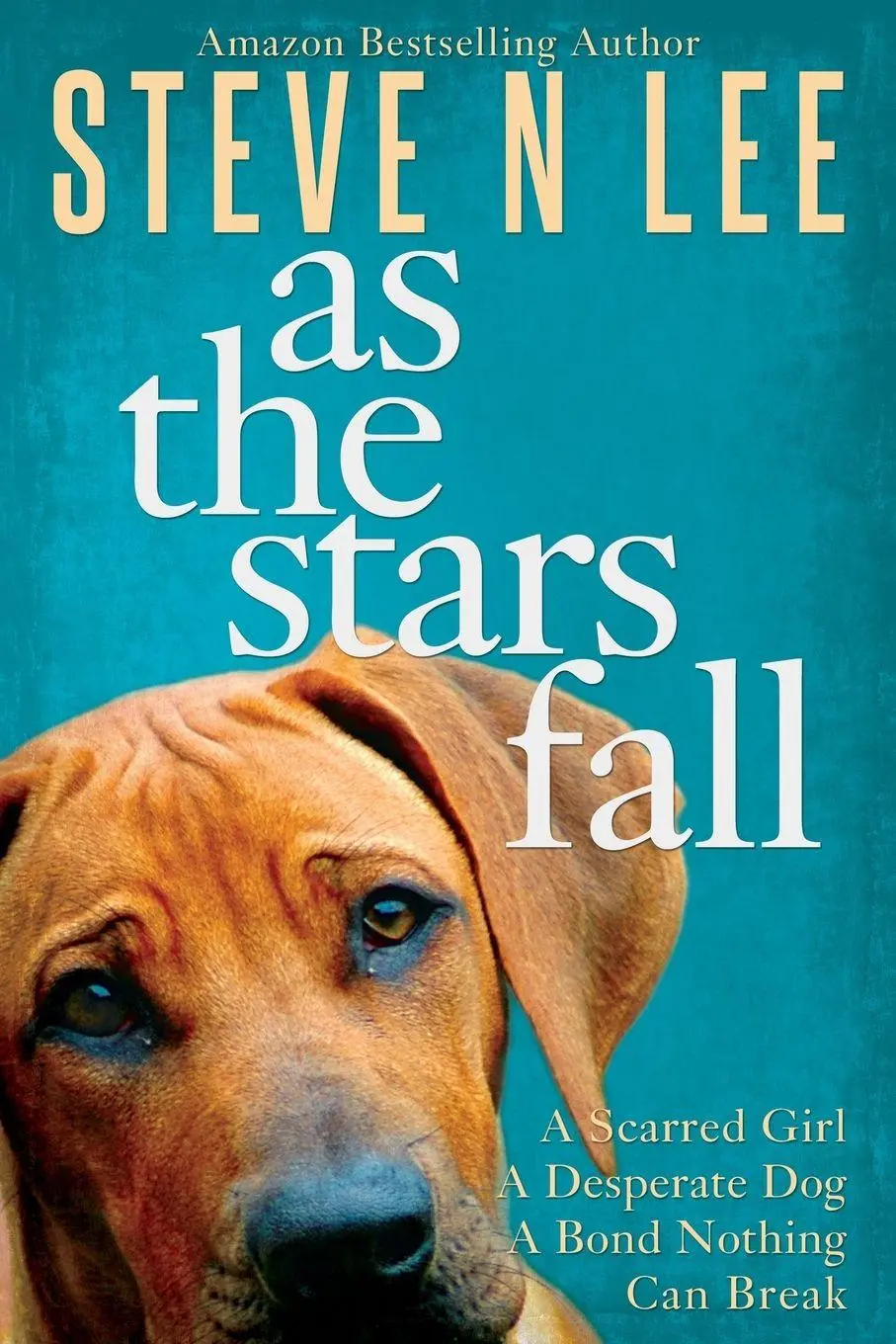 Cover: 9780955652561 | As The Stars Fall | A Heartwarming Dog Novel | Steve N Lee | Buch