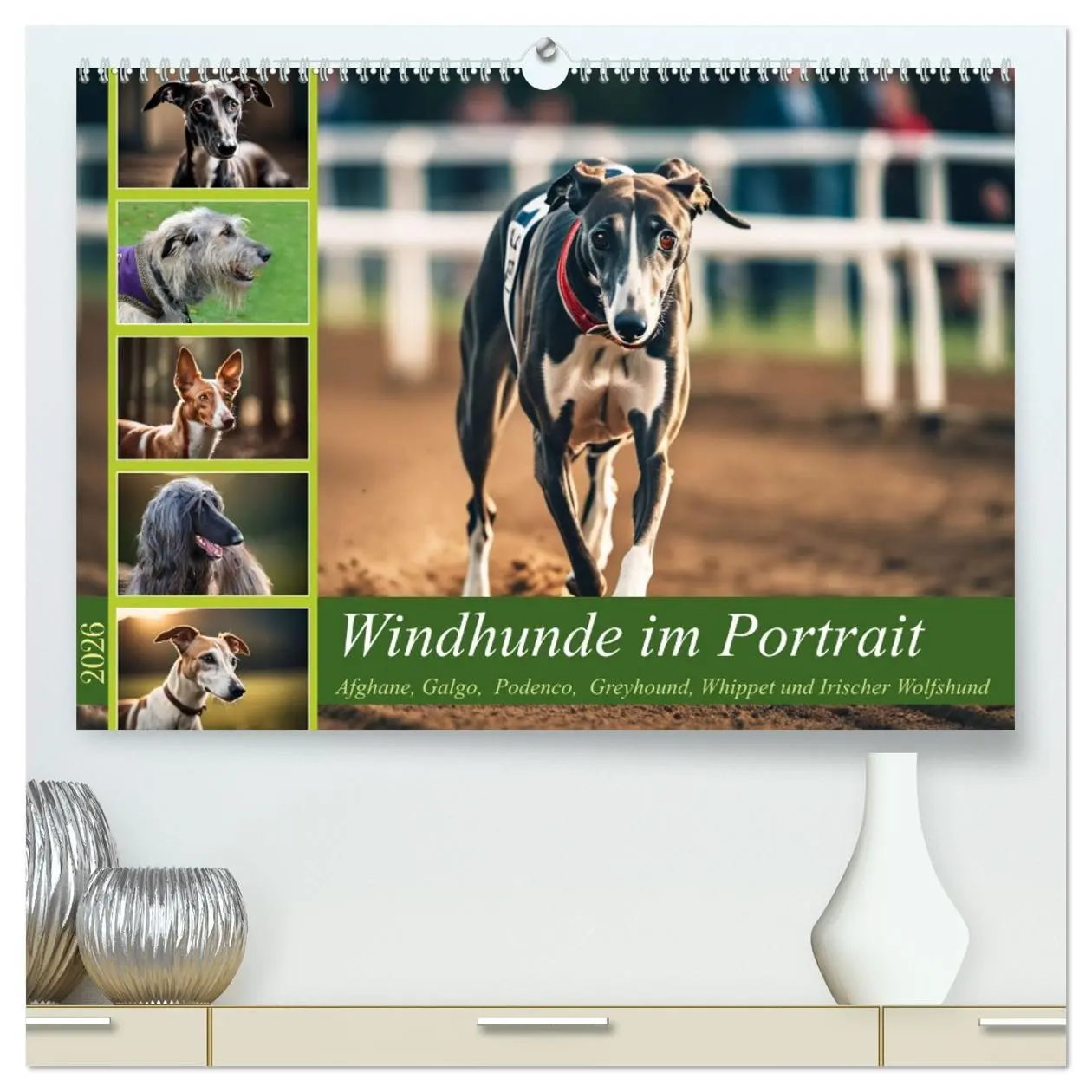 Cover: 9783457382561 | Windhunde im Portrait (hochwertiger Premium Wandkalender 2026 DIN...