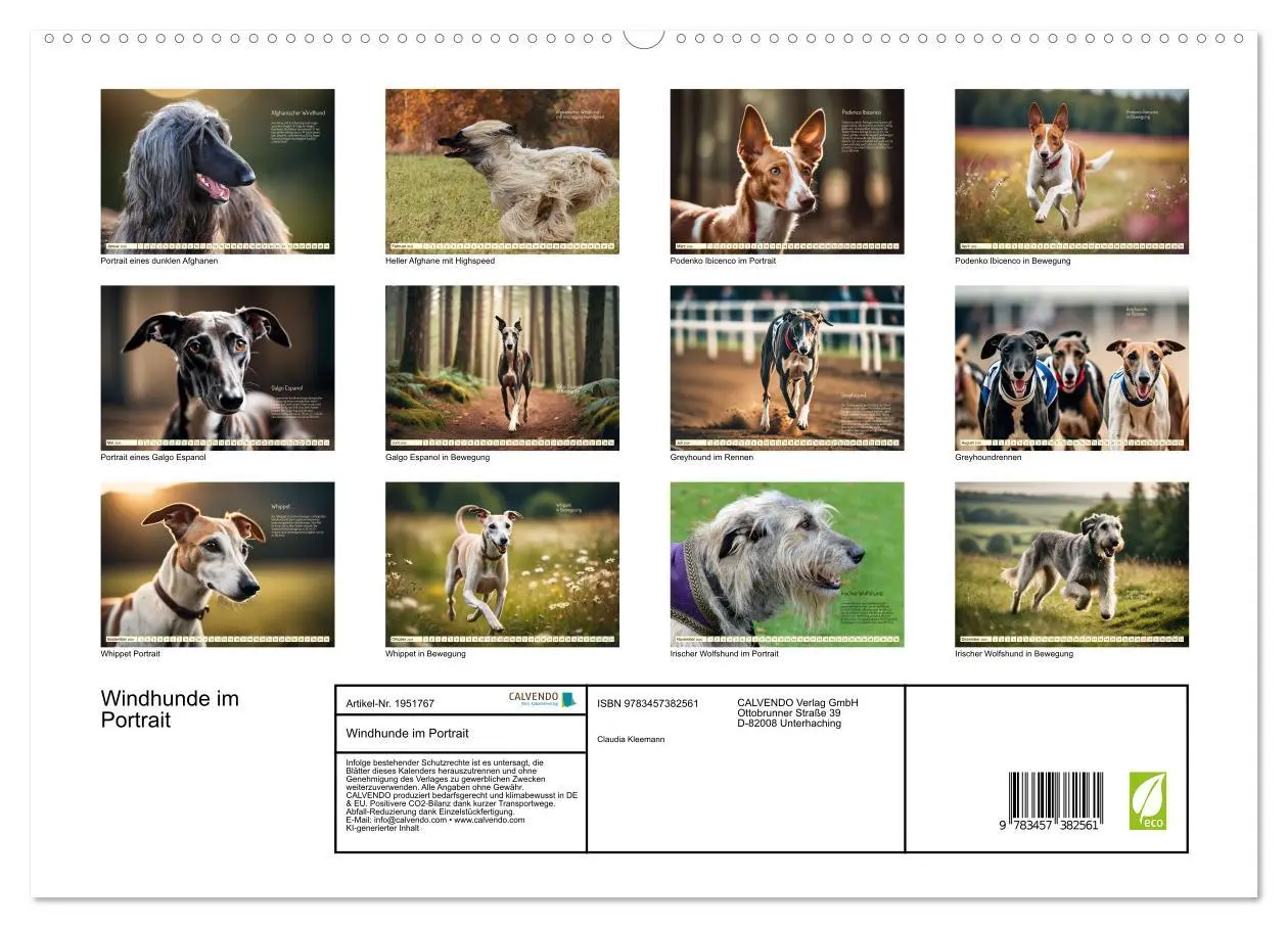 Bild: 9783457382561 | Windhunde im Portrait (hochwertiger Premium Wandkalender 2026 DIN...