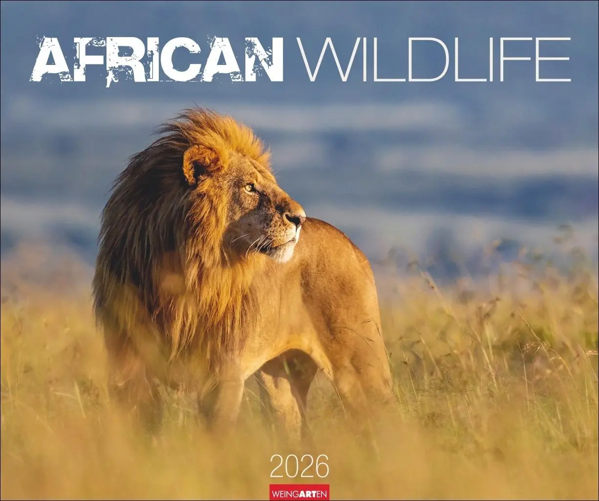 Cover: 9783839902561 | African Wildlife Kalender 2026 | Kalender | Tierkalender Weingarten