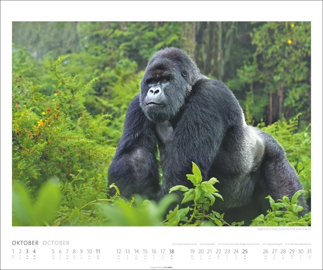 Bild: 9783839902561 | African Wildlife Kalender 2026 | Kalender | Tierkalender Weingarten