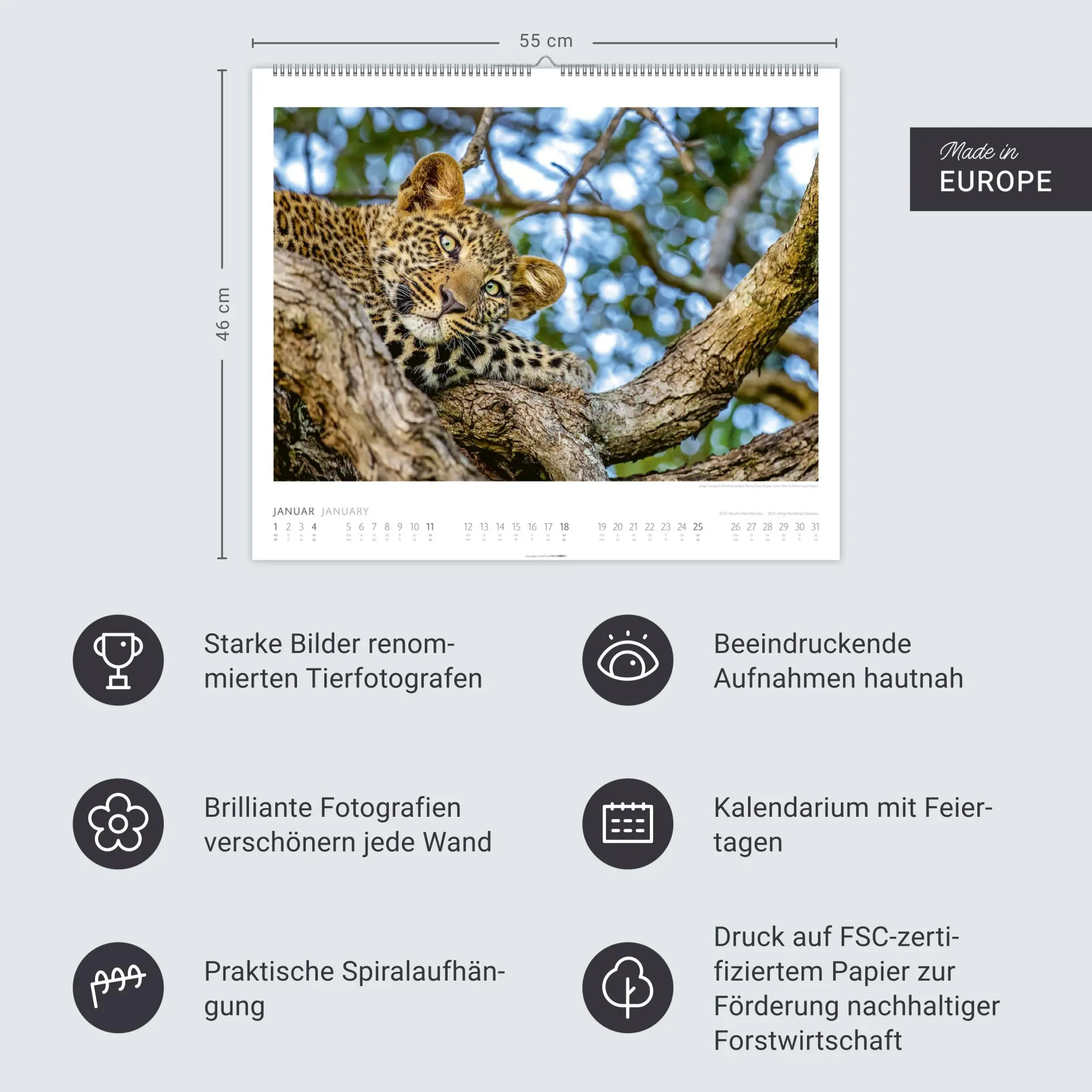 Bild: 9783839902561 | African Wildlife Kalender 2026 | Kalender | Tierkalender Weingarten