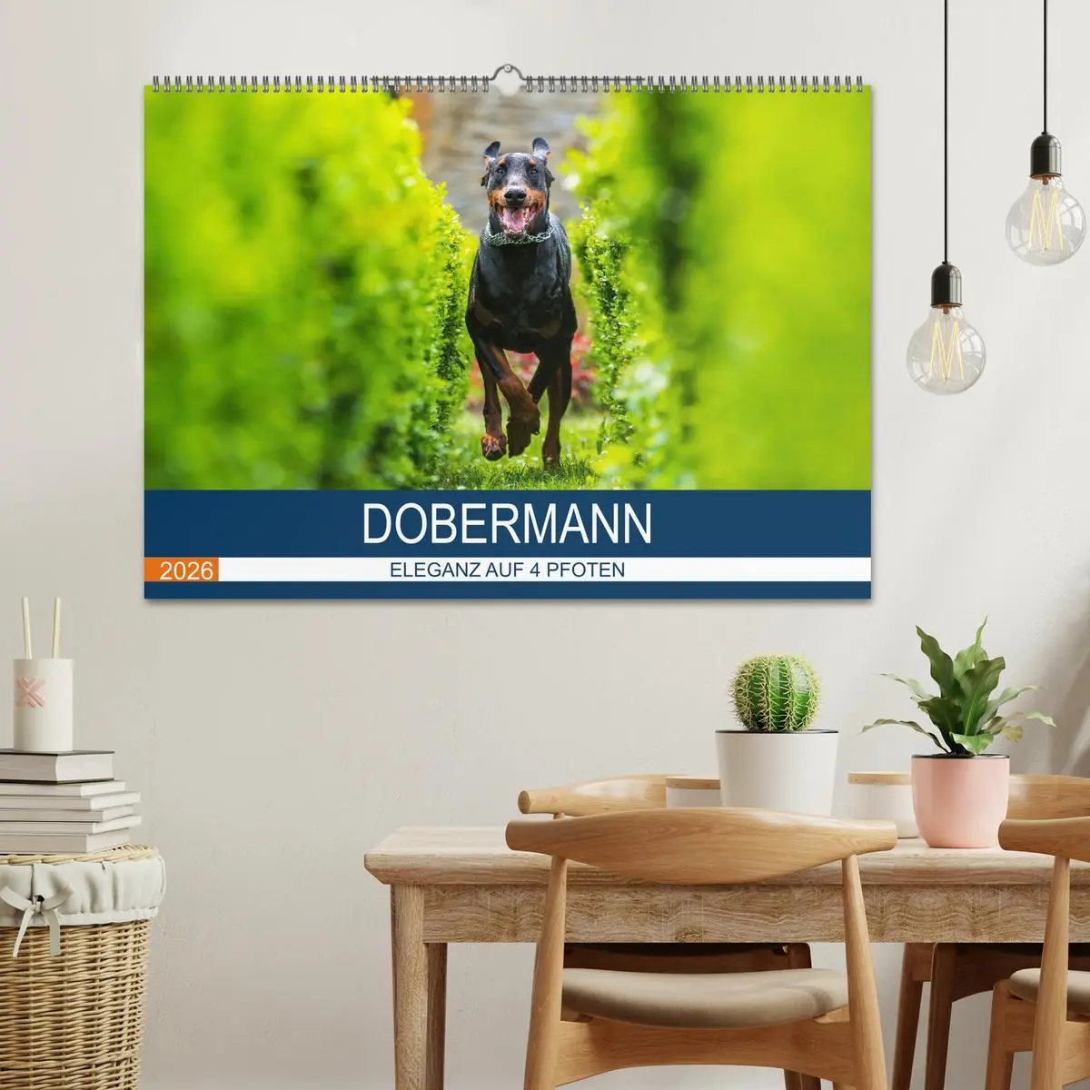 Bild: 9783516082661 | Dobermann 2026 (Wandkalender 2026 DIN A2 quer), CALVENDO...