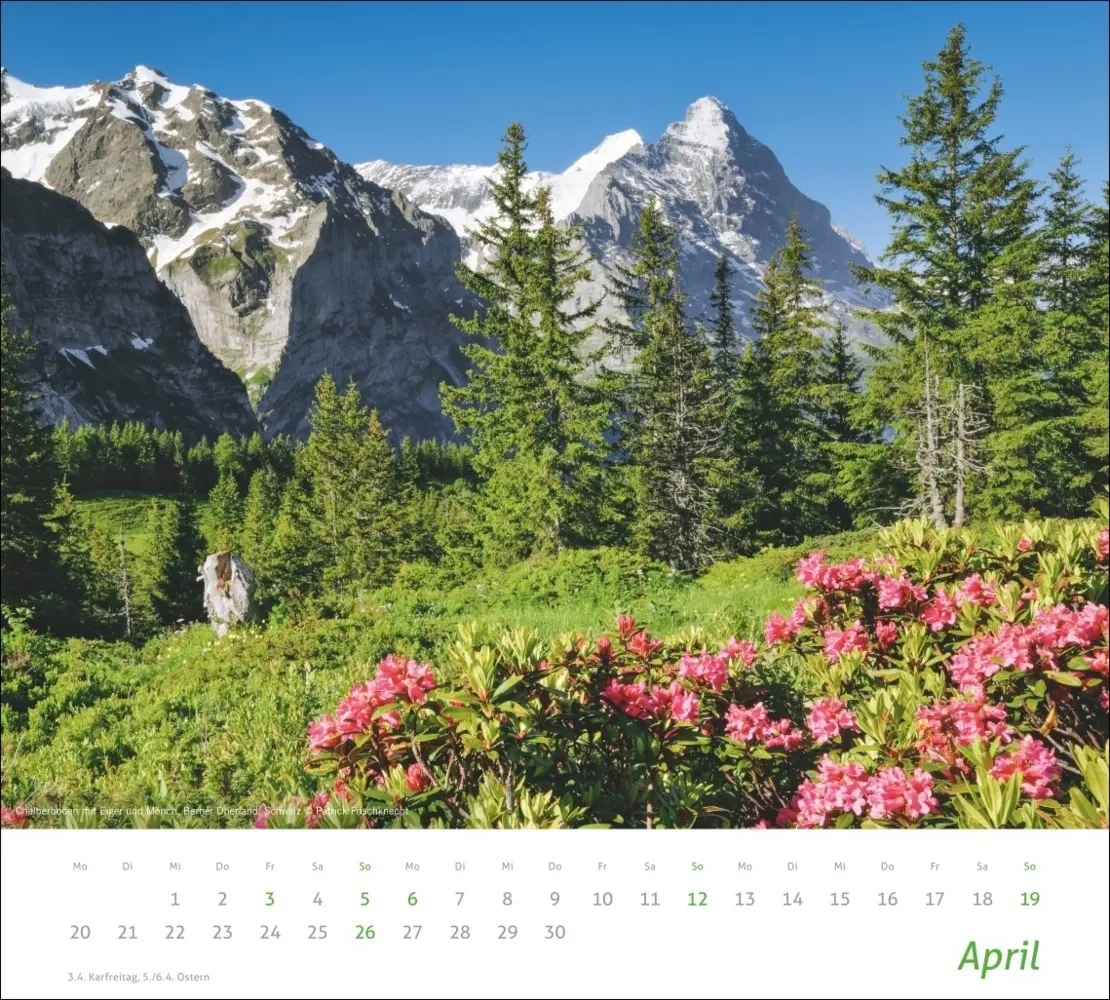 Bild: 9783756412761 | times&amp;more Alpen Bildkalender 2026 | Heye | Kalender | Spiralbindung
