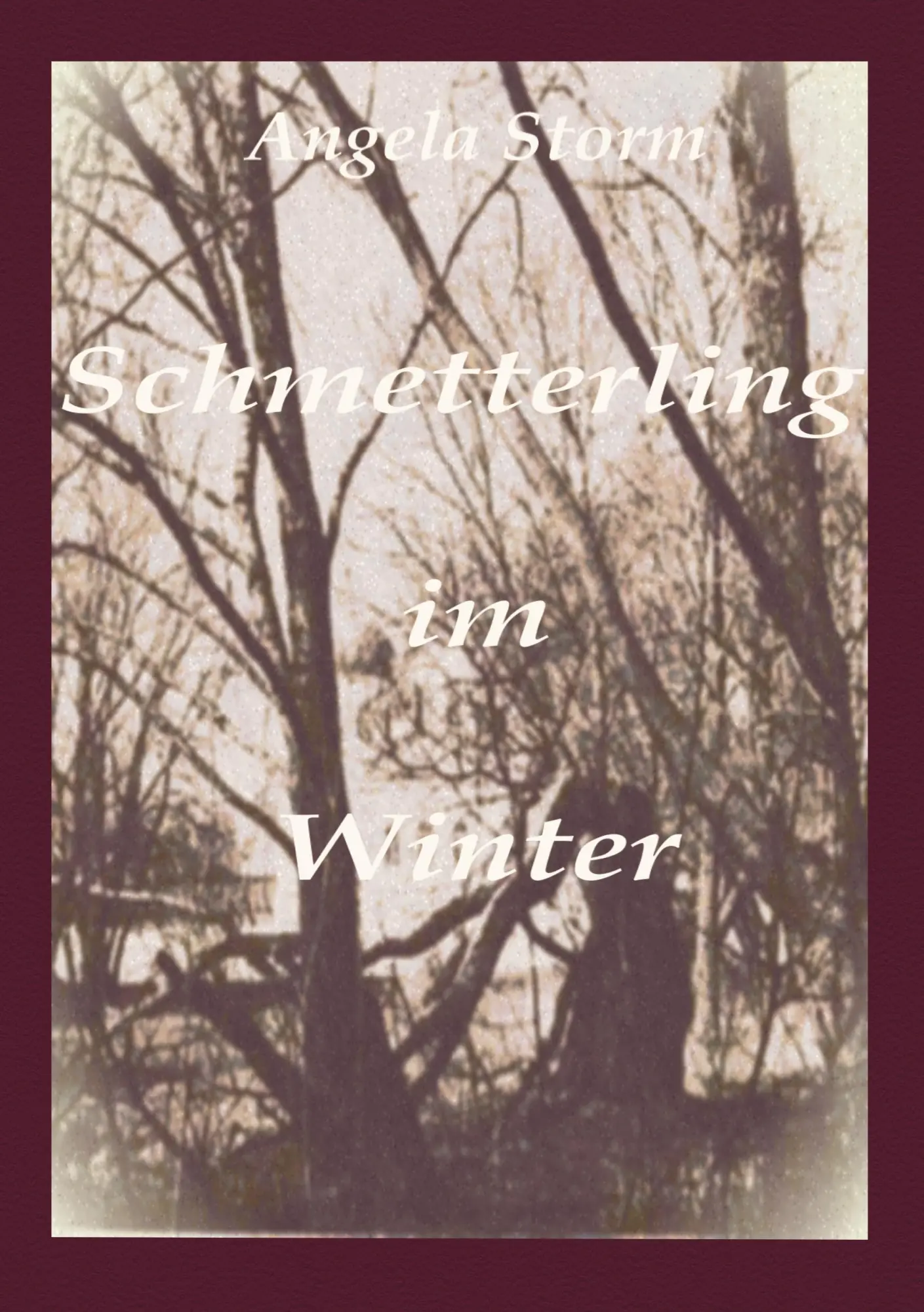 Cover: 9783831102761 | Schmetterling im Winter | Angela Storm | Taschenbuch | 224 S. | 2000
