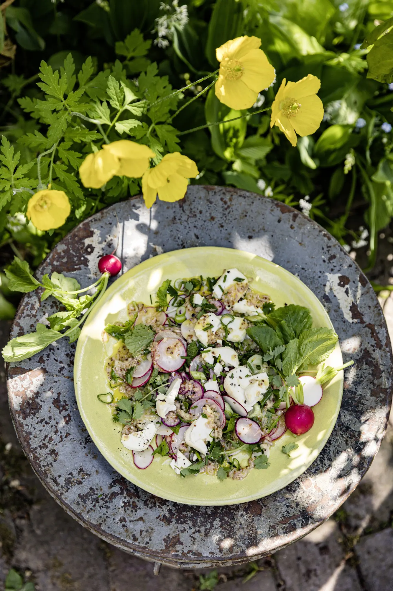 Bild: 9783039022861 | Meine grüne französische Bistro-Küche | Lieblingsrezepte für jeden Tag