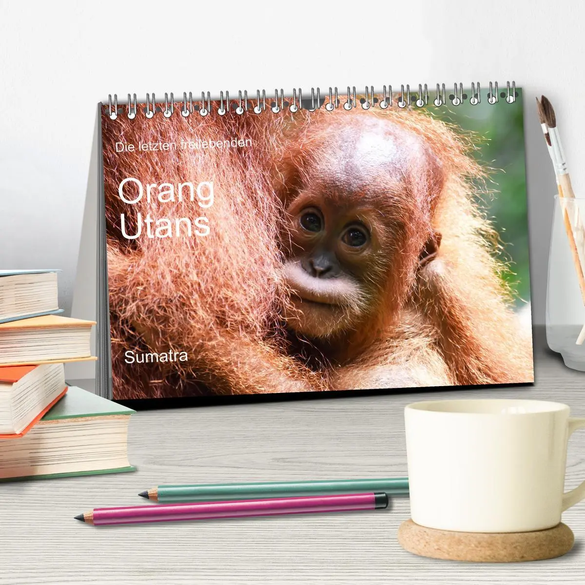 Bild: 9783457732861 | Die letzten freilebenden Orang Utans (Tischkalender 2026 DIN A5...