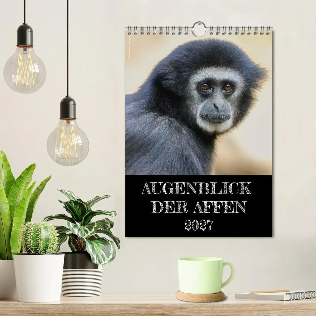 Bild: 9783569842861 | Augenblick der Affen 2027 (Wandkalender 2027 DIN A4 hoch), CALVENDO...