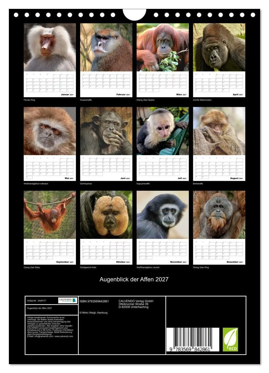 Bild: 9783569842861 | Augenblick der Affen 2027 (Wandkalender 2027 DIN A4 hoch), CALVENDO...