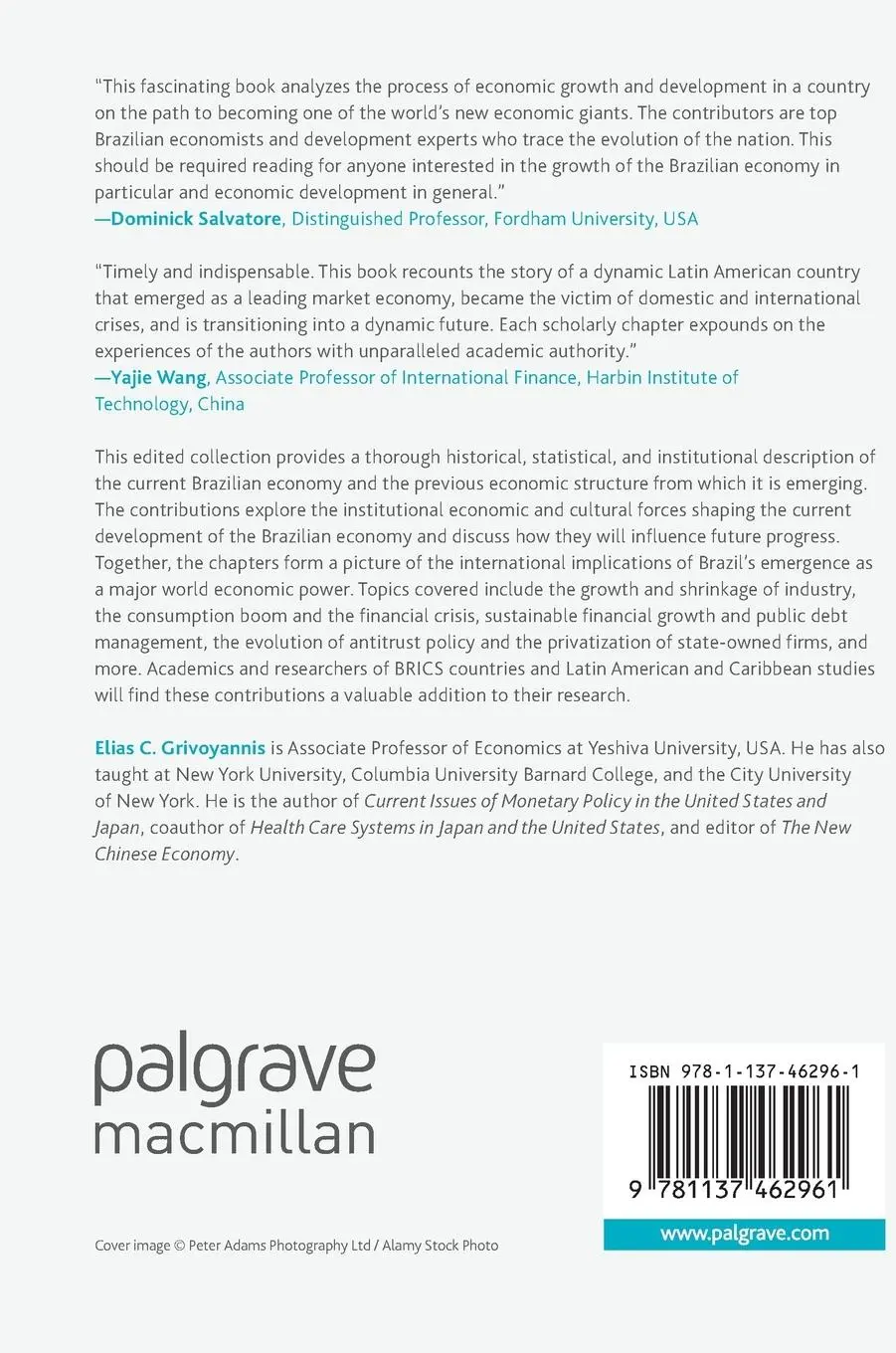 Rückseite: 9781137462961 | The New Brazilian Economy | Dynamic Transitions into the Future | Buch