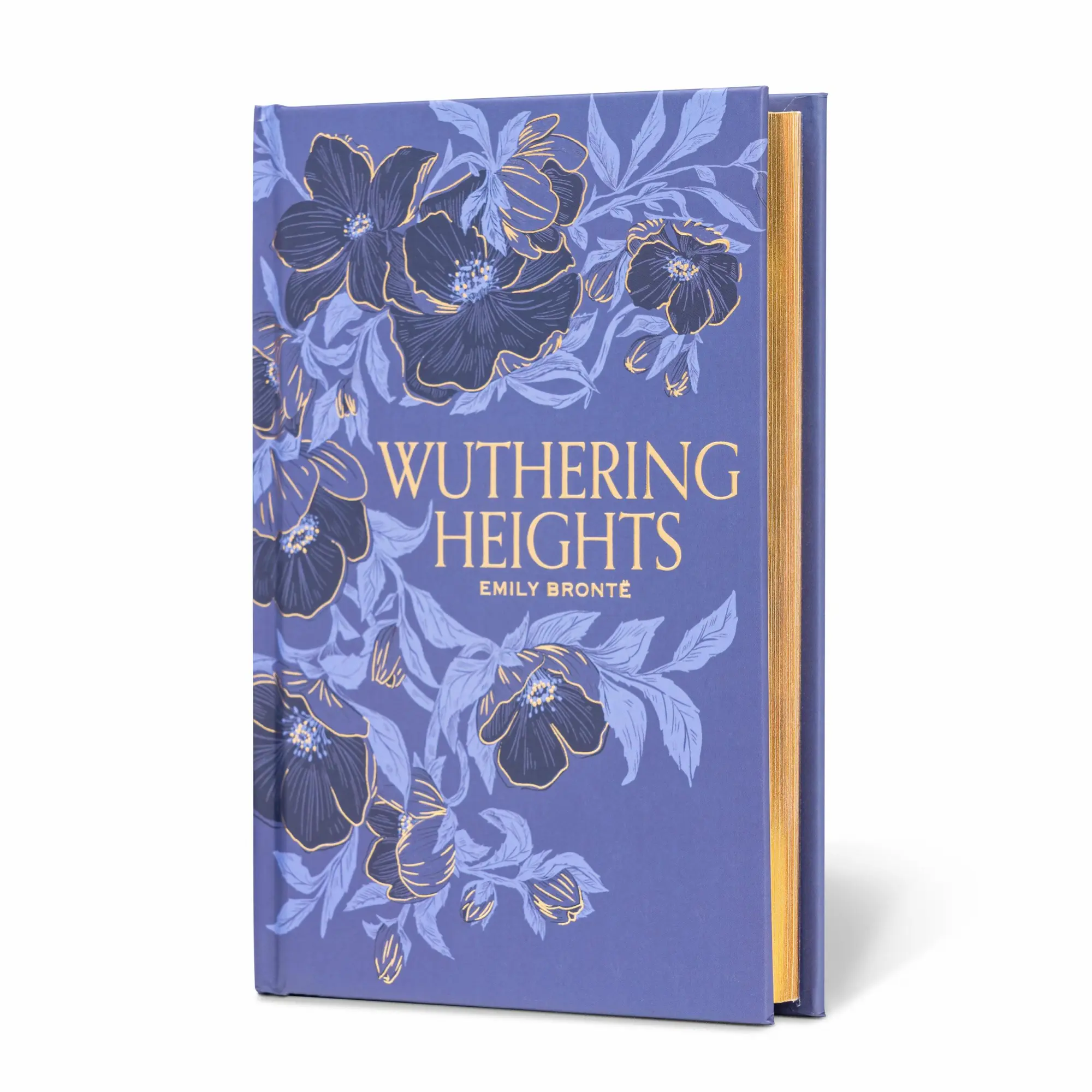 Cover: 9781454952961 | Wuthering Heights (Special Edition) | Emily Brontë | Buch | Englisch