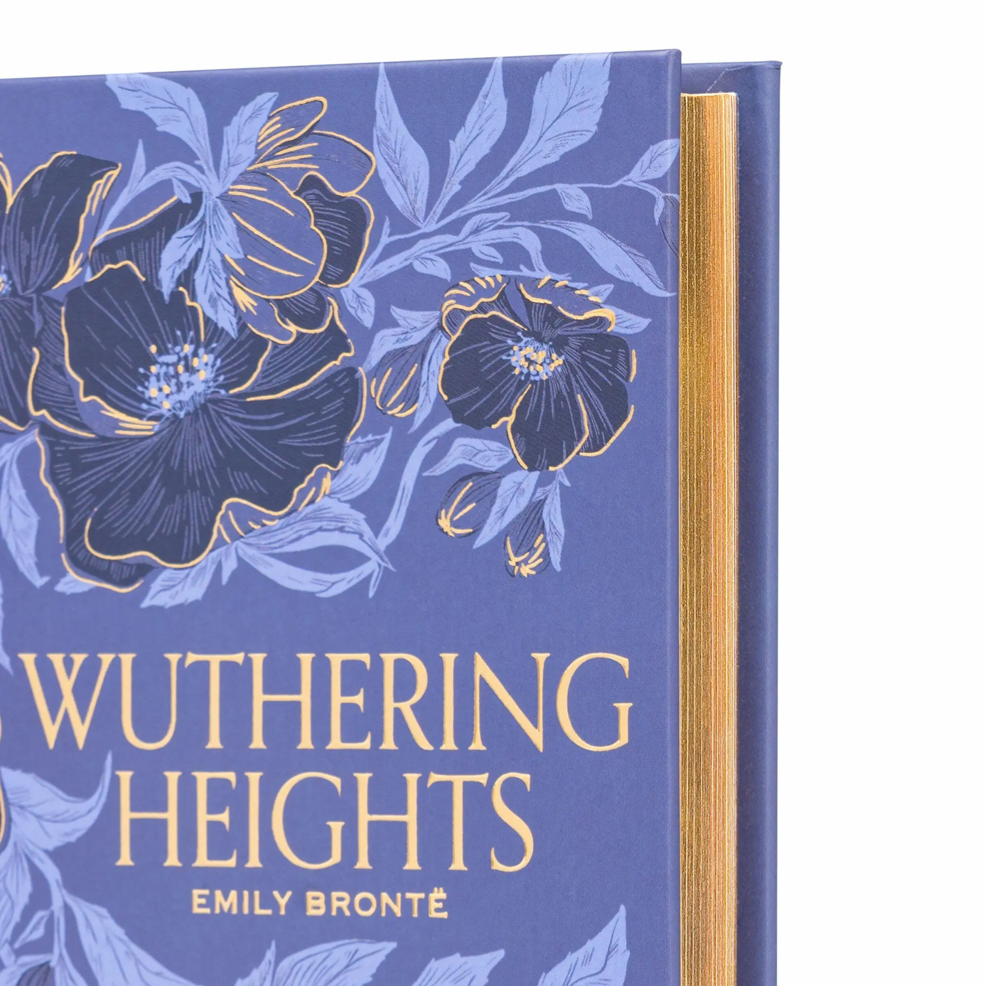 Bild: 9781454952961 | Wuthering Heights (Special Edition) | Emily Brontë | Buch | Englisch