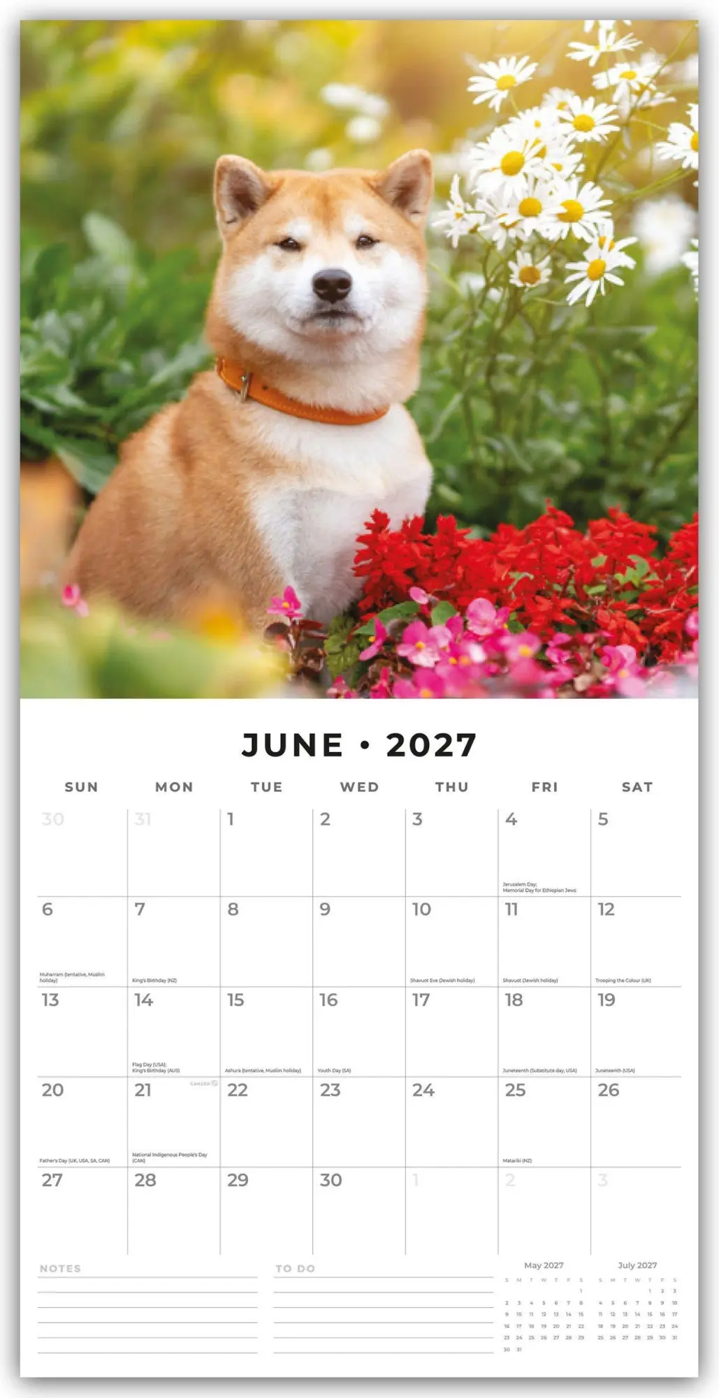 Bild: 9781837012961 | Shiba Inu 2027 - 16-Monatskalender | Robin Red | Kalender | 28 S.