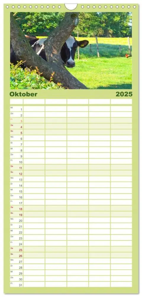 Bild: 9783457102961 | Familienplaner 2025 - Die Kuh macht Muuuh! mit 5 Spalten...