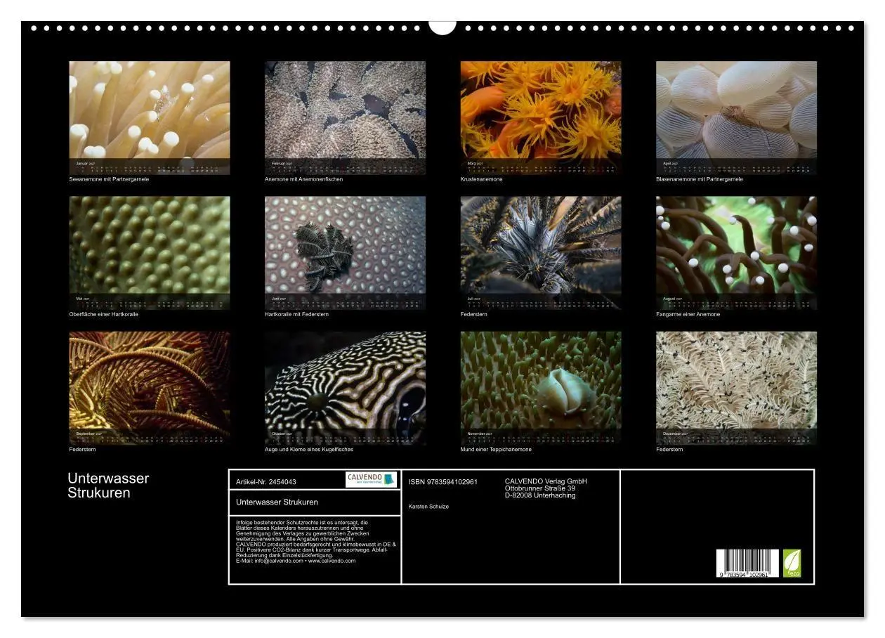 Bild: 9783594102961 | Unterwasser Strukuren (Wandkalender 2027 DIN A2 quer), CALVENDO...