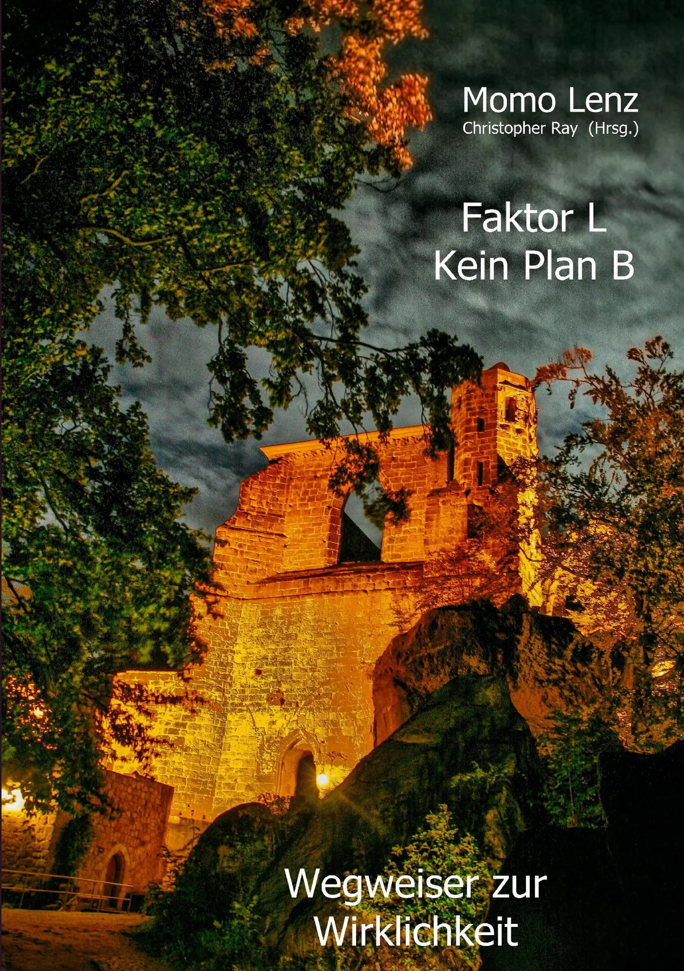 Cover: 9783732252961 | Faktor L * Kein Plan B | Wegweiser zur Wirklichkeit | Momo Lenz | Buch