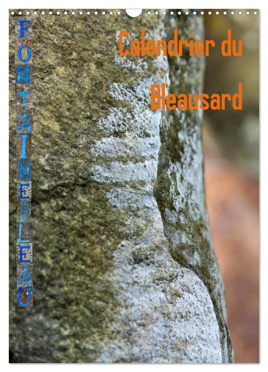 Cover: 9783516563061 | Calendrier du Bleausard (Calendrier mural 2026 DIN A3 horizontal),...