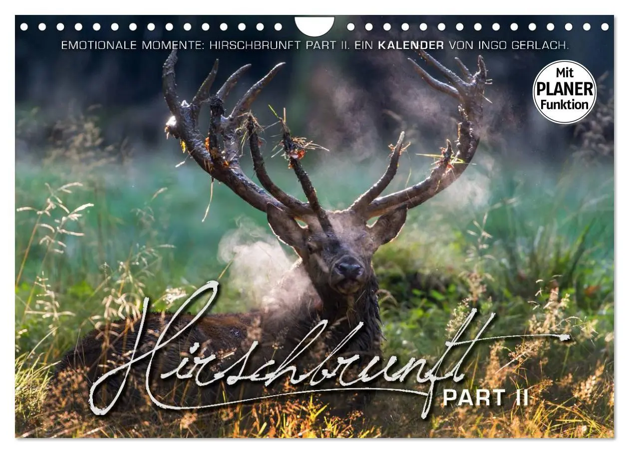 Cover: 9783516003161 | Emotionale Momente: Hirschbrunft. Part II. (Wandkalender 2026 DIN...