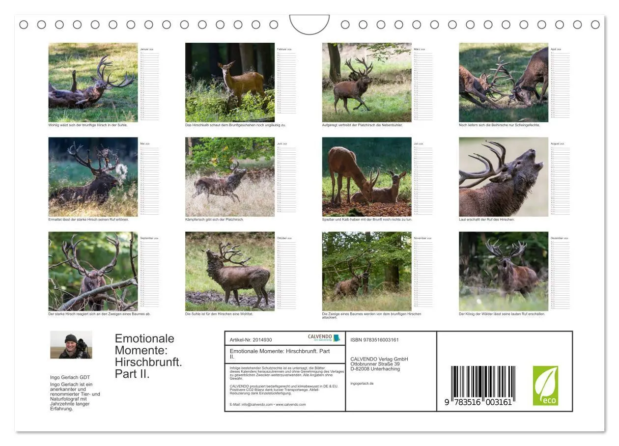 Bild: 9783516003161 | Emotionale Momente: Hirschbrunft. Part II. (Wandkalender 2026 DIN...